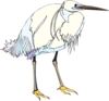 White And Blue Heron Clip Art